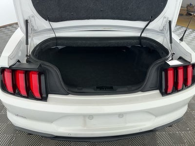 2019 Ford Mustang EcoBoost
