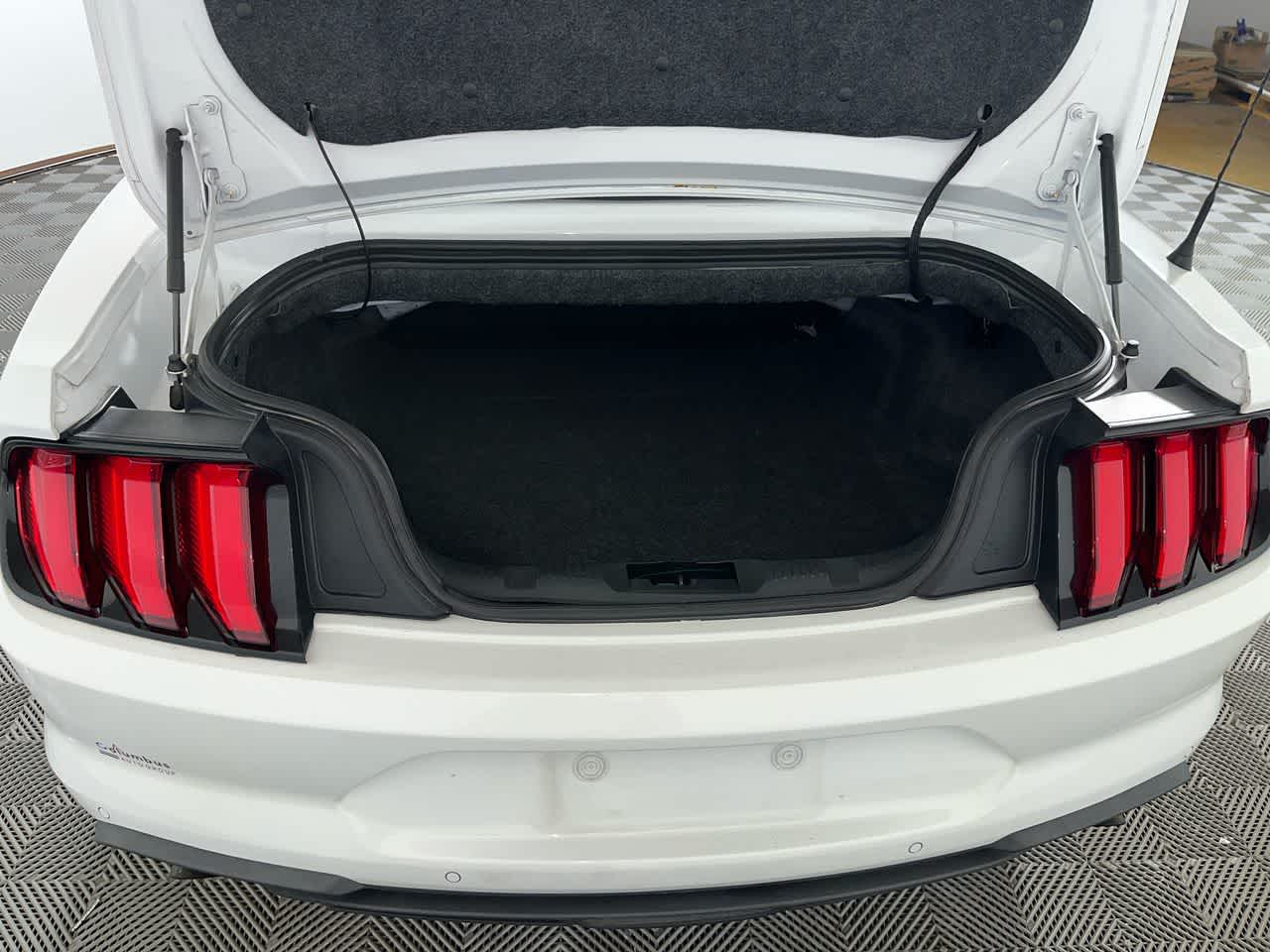 2019 Ford Mustang EcoBoost