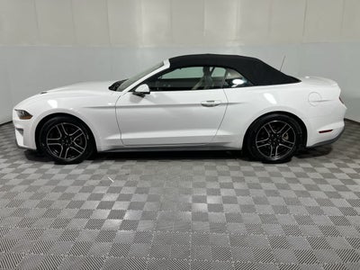 2019 Ford Mustang EcoBoost