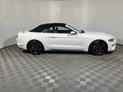 2019 Ford Mustang EcoBoost